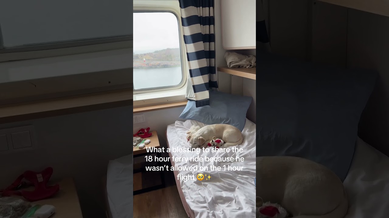 Would you take the 18 hour ferry if your dog was denied a 1 hour flight?