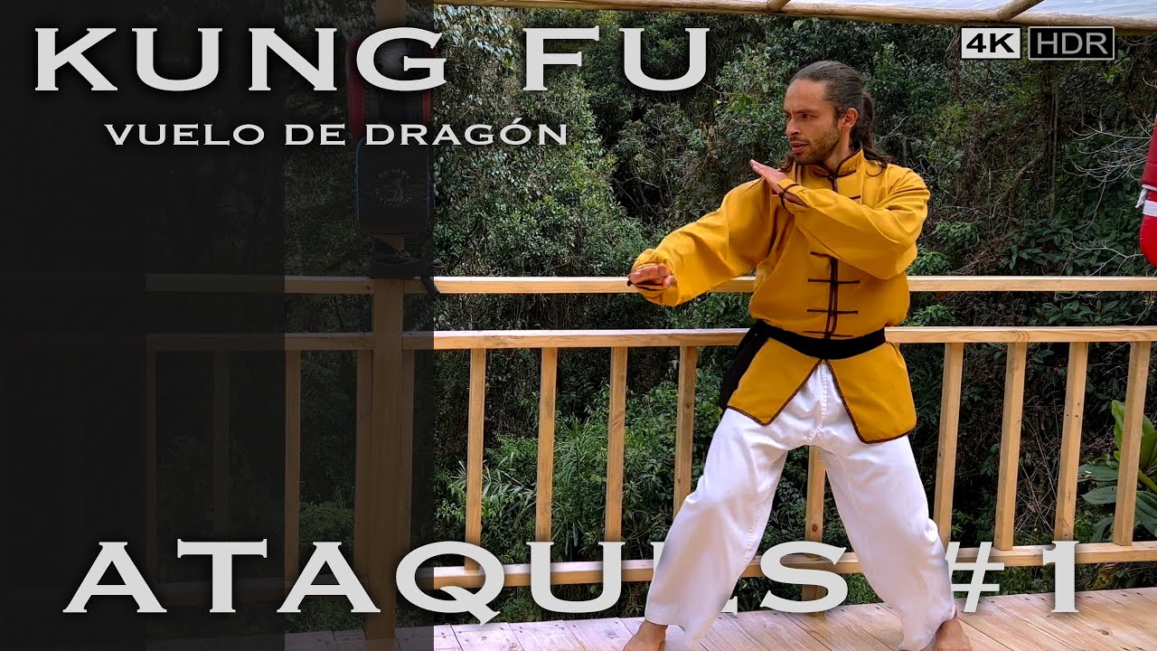 ATAQUES #1 / Vuelo de Dragón en la defensa y el combate - Kung Fu Whushu * 4K HDR *