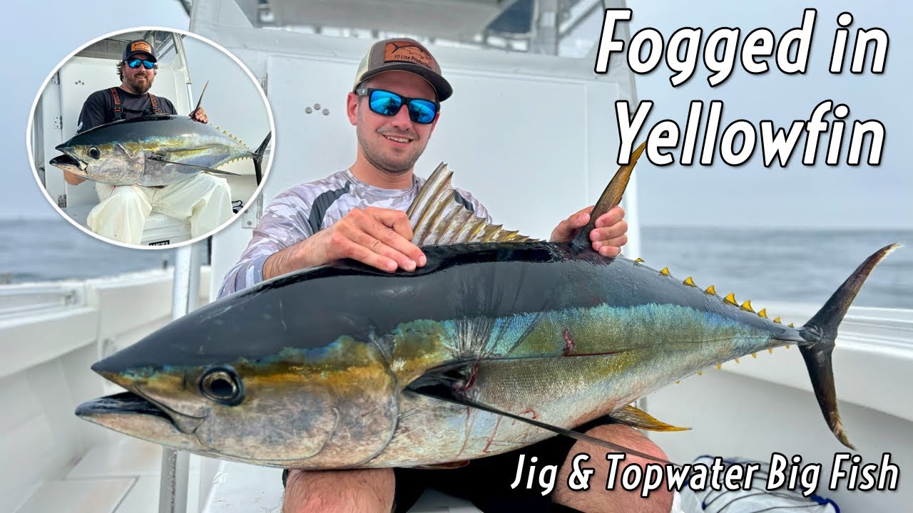 Fogged in Yellowfin | Jig & Topwater Big Fish | July 2024