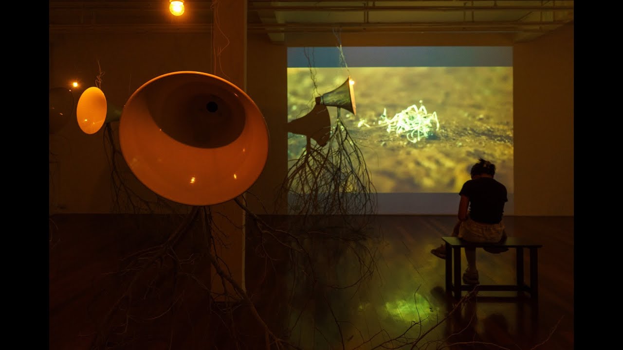 Fungi in Your Headlights, 2025 (Singing of Taahms)