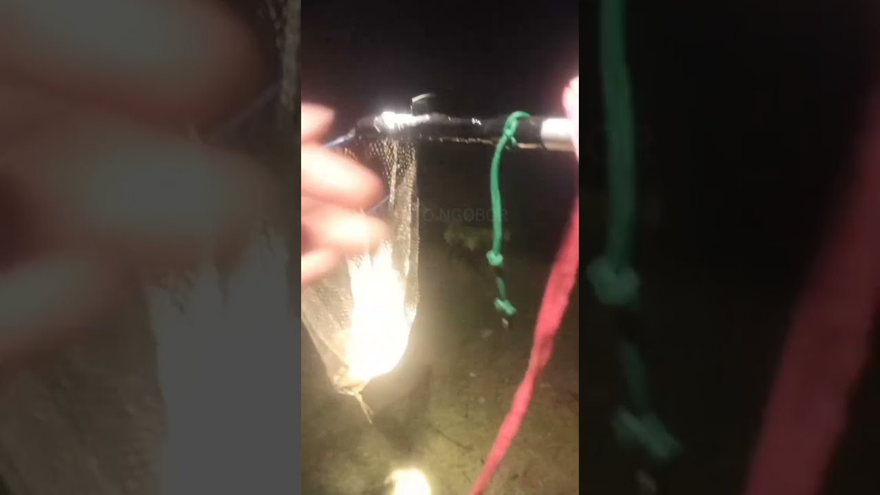 Ngobor kali ini sekalian praktek nali kepiting ges!!