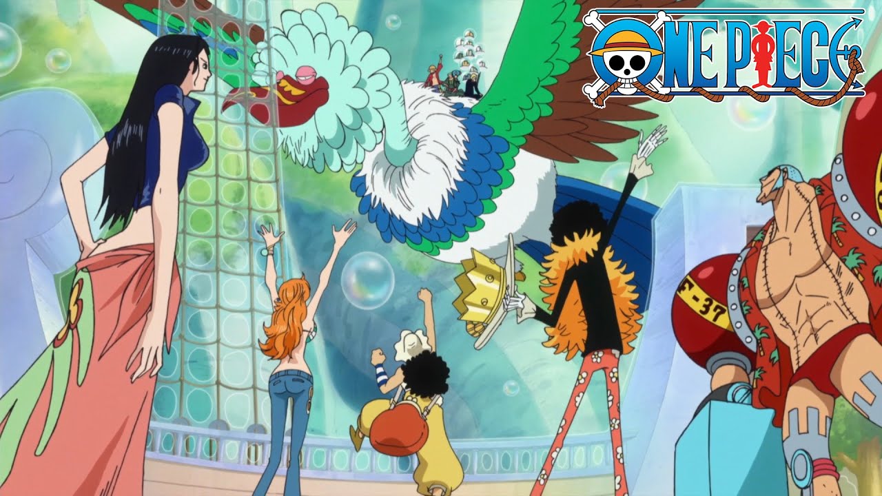 Straw Hats Reunite After 2 Years! | One Piece