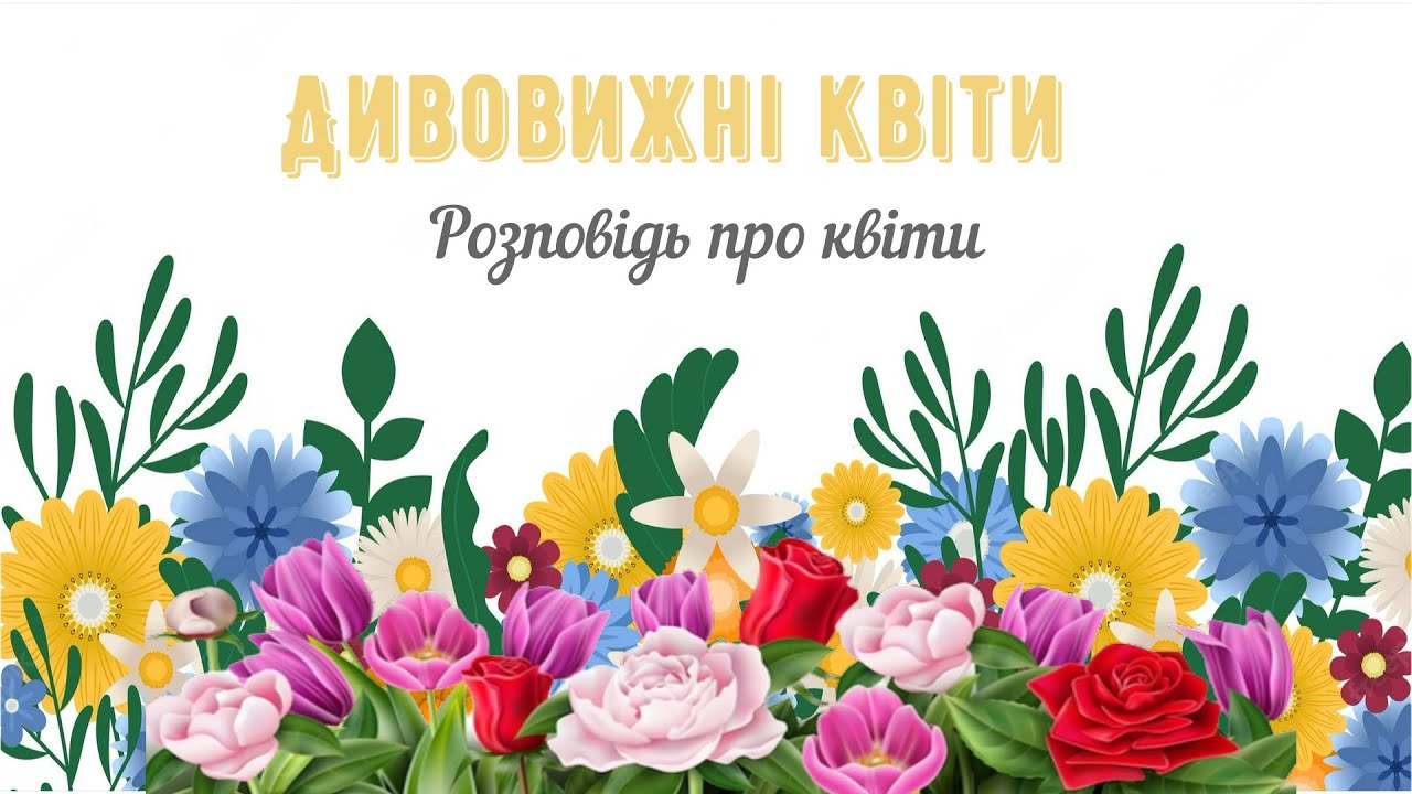 Дивовижні квіти🌺Розповідь про квіти✨