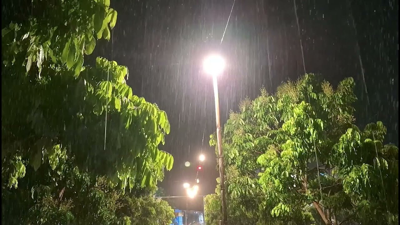 Mystic Forest Rain: Relaxing Rain Sound for Deep Sleep & Meditation to Clear Negative Energy