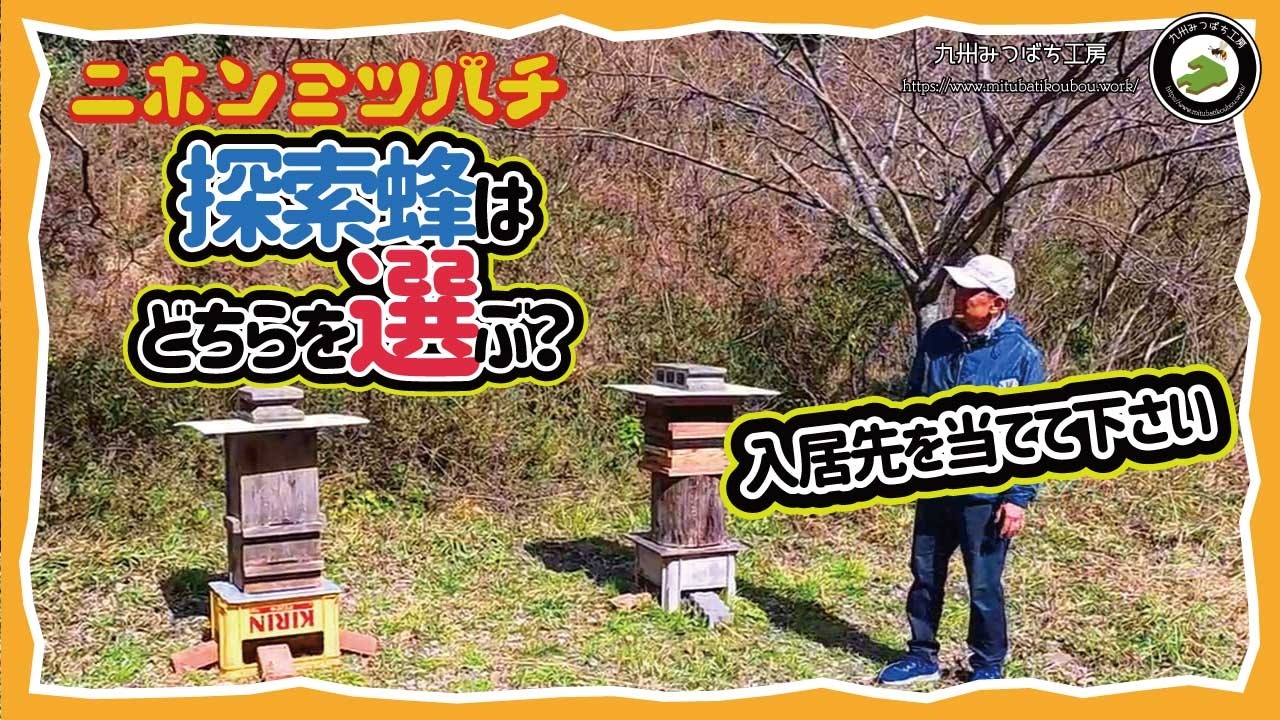 入居率が劇的に変わる巣箱の置き方とは？分蜂前の飼育場を全公開！