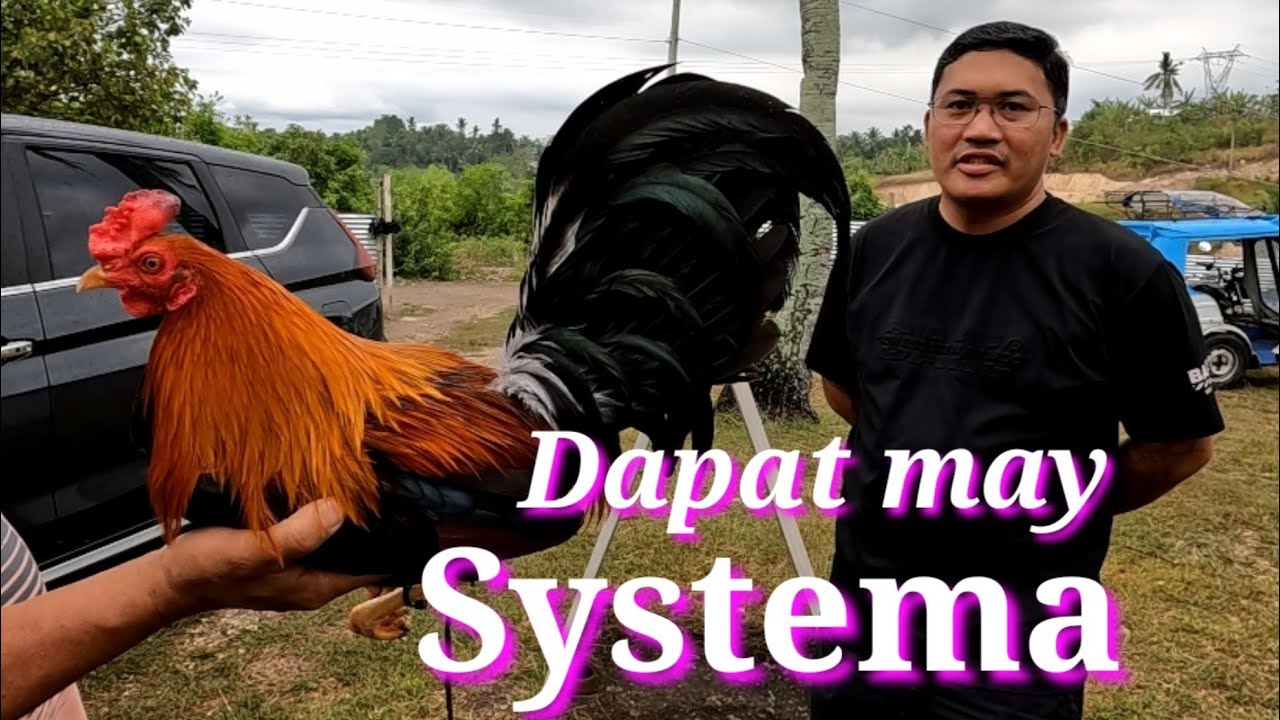 EP463 Part 2: Tuloy natin ang usaping Hulog hulogan na Legit