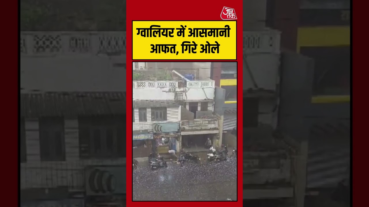Gwalior: ग्वालियर में आसमानी आफत, गिरे ओले # #viral #shorts #trending #ATShorts