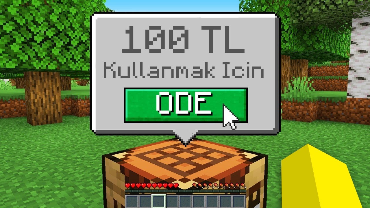 Minecraft'ta HER ŞEY PARALI!