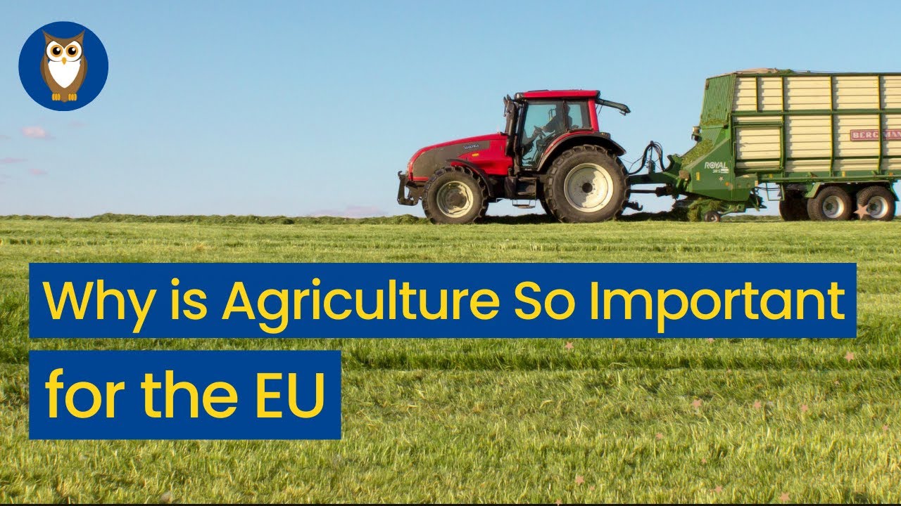 Why is Agriculture So Important for the European Union ? ( The EU SPENT 50 BILLION EUROS EVERY YEAR!