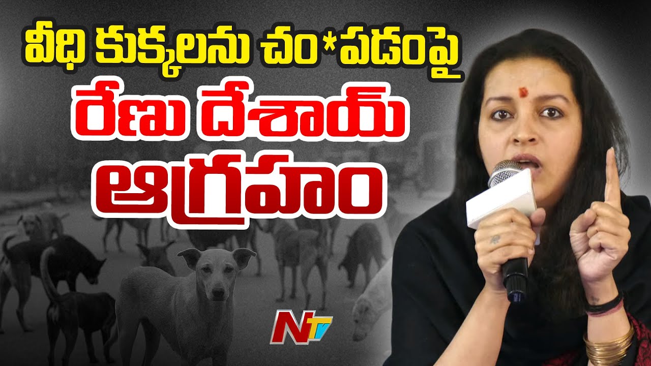 500 కుక్కలను చంపి వాటి ముందు ఫోటో దిగుతారా..? | Renu Desai Fires on Killing stray Dogs | NTV Telugu