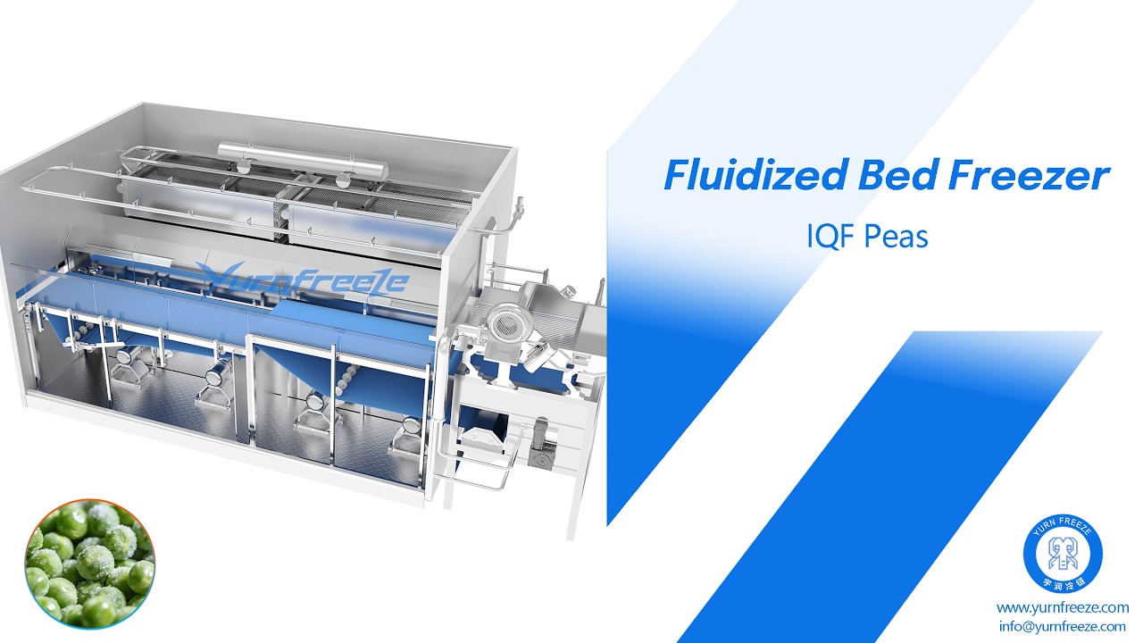 🌱❄️ Yurnfreeze Fluidized Bed Freezer Freezing Peas | Efficient IQF Solution for Vegetables