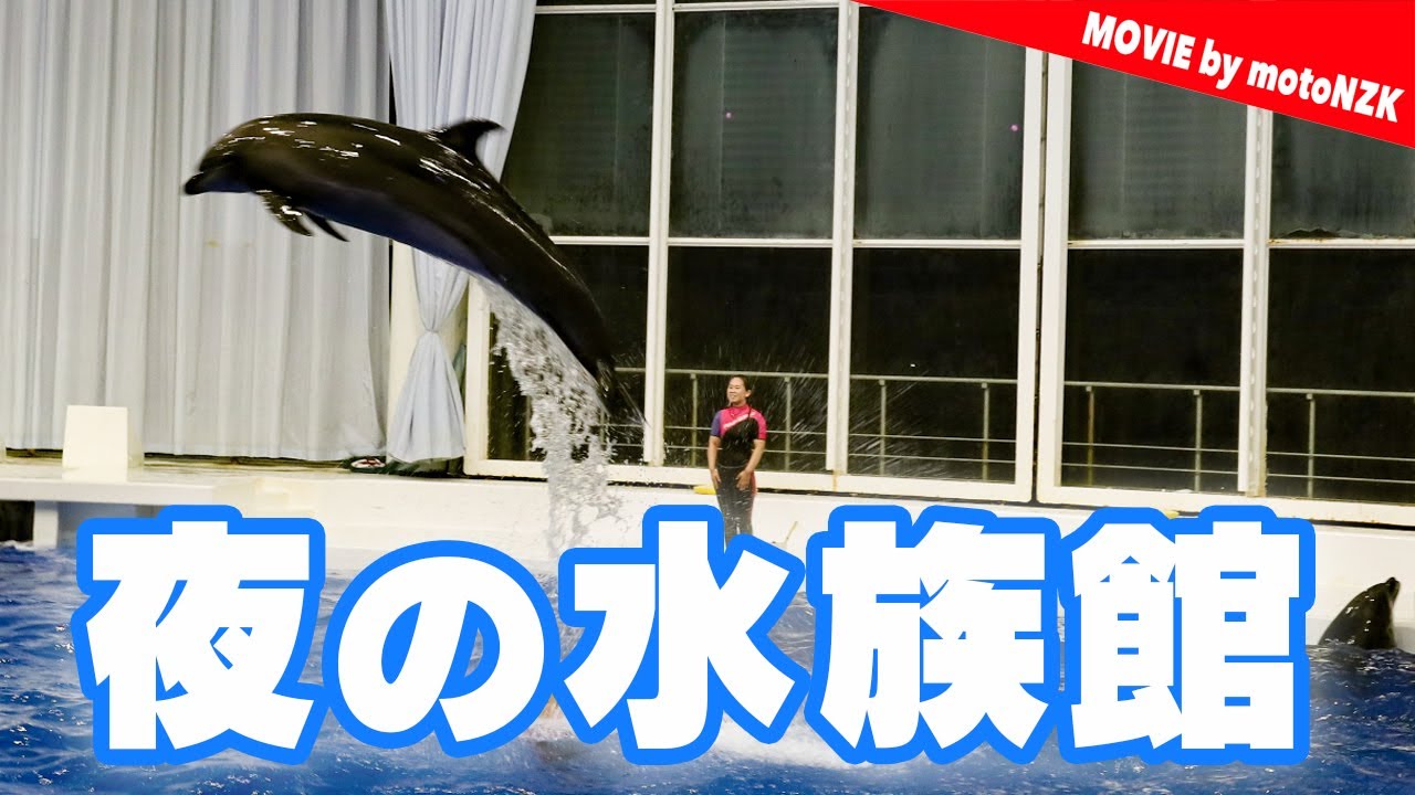 アクアワールド茨城県大洗水族館のナイトアクアリウムに行ってきた【CB250F / モトブログ】