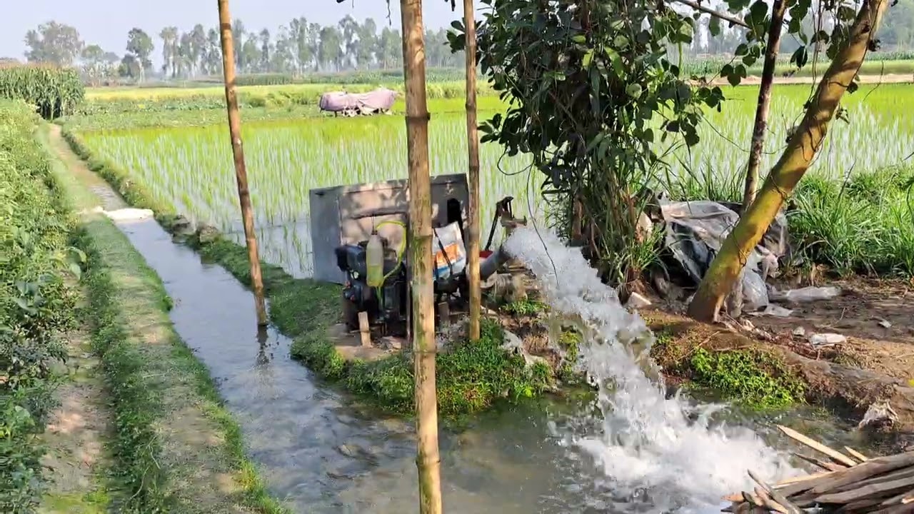 সেচ মেশিনের শব্দে মুখরিত ফসলের মাঠ 