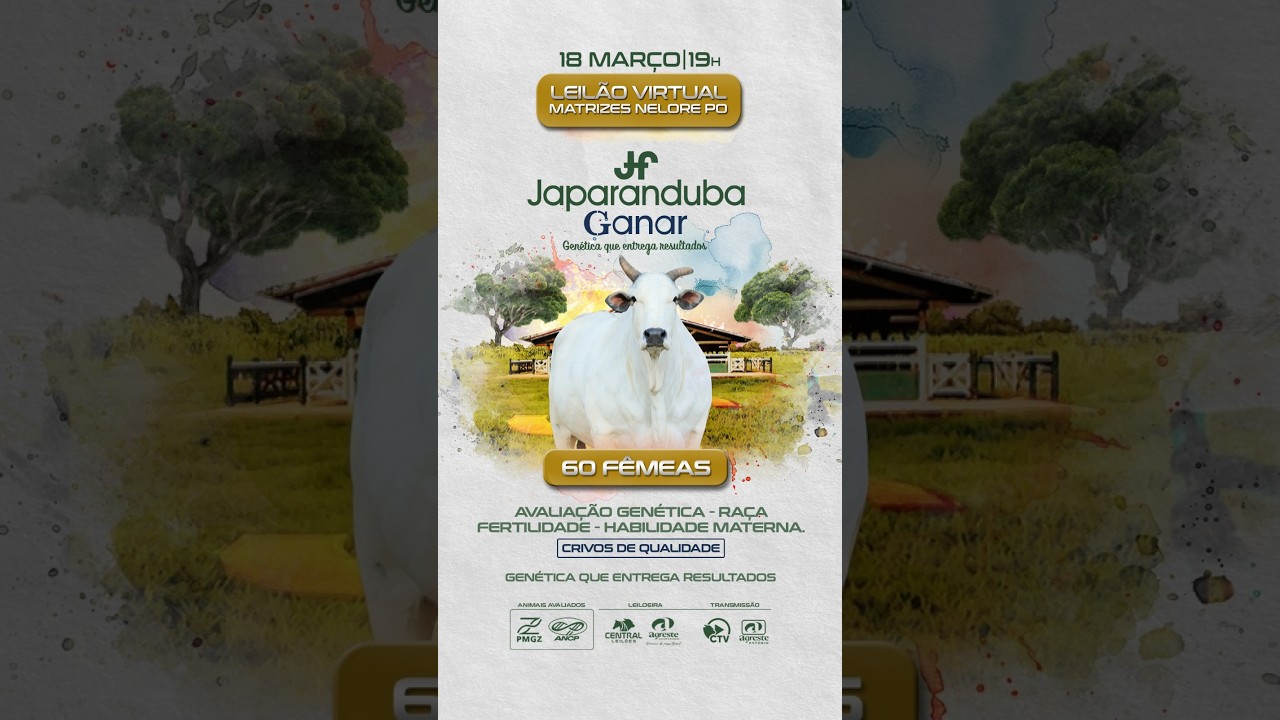 LEILÃO VIRTUAL MATRIZES JAPARANDUBA GANAR