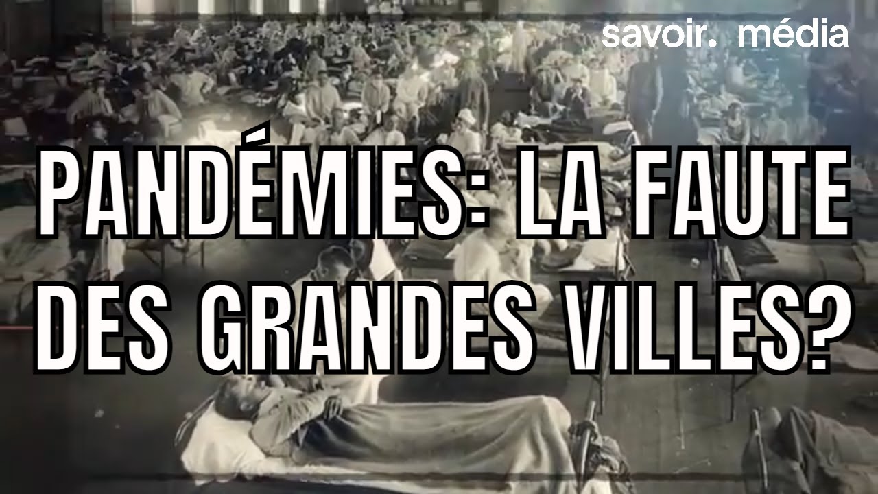 Est-ce que les grandes villes sont responsables des pandémies? - Territoire - S1E1