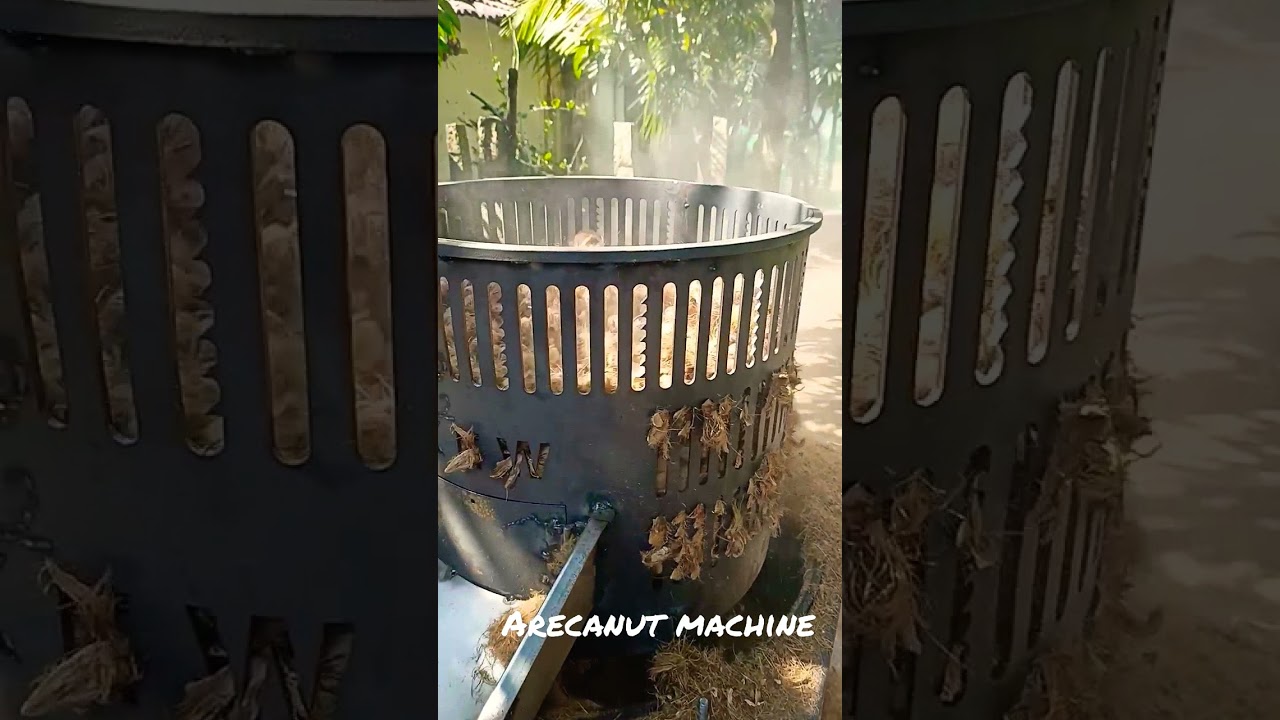 Arecanut Machine #shorts #machine #arecanut