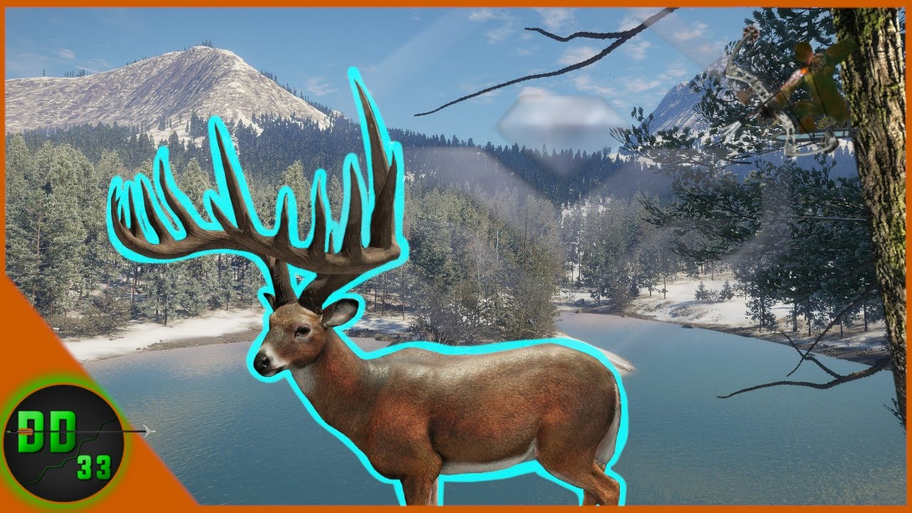 Hunting The Biggest Diamond Whitetail We've Seen In 5 YEARS! Call Of The Wild