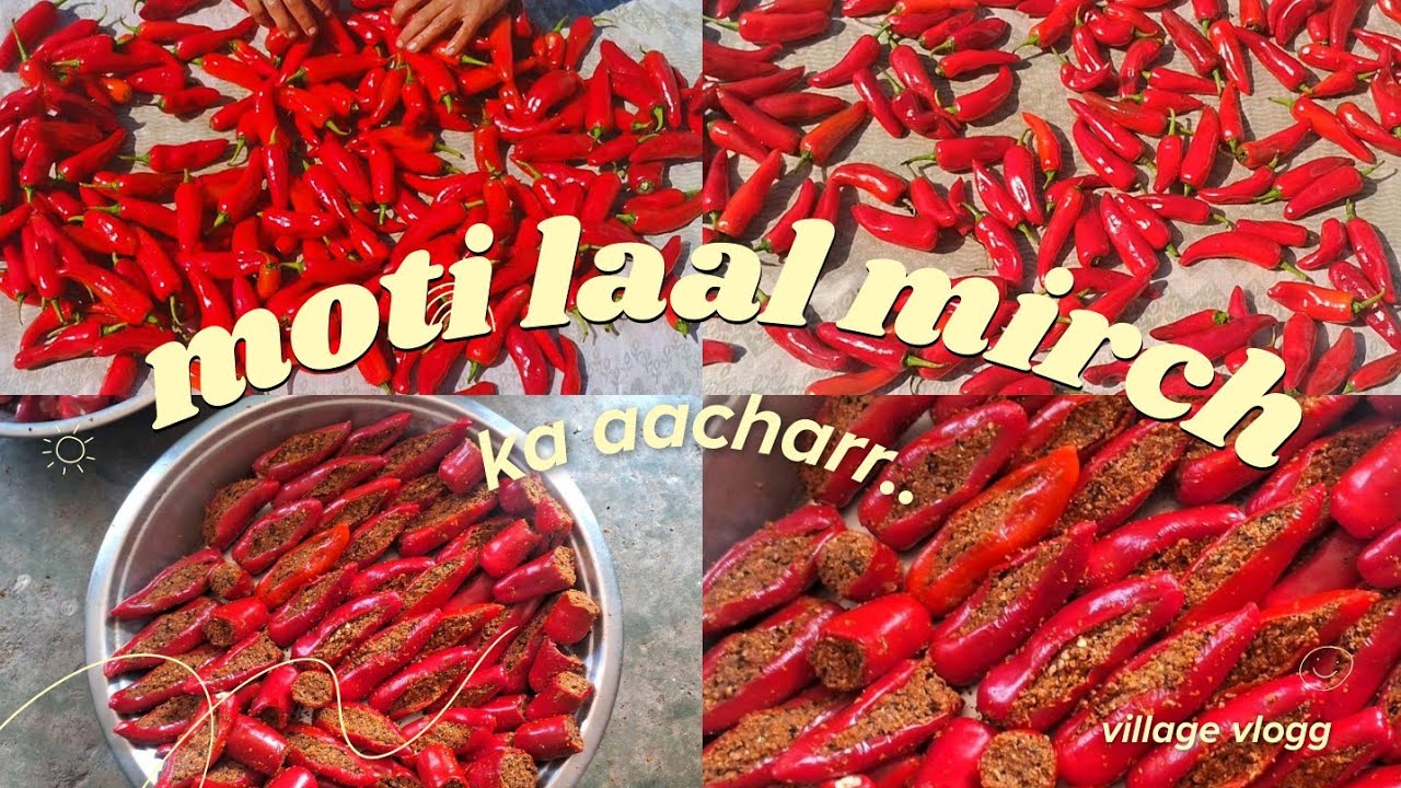 Village Style मोटी लाल मिर्च का अचार ।।