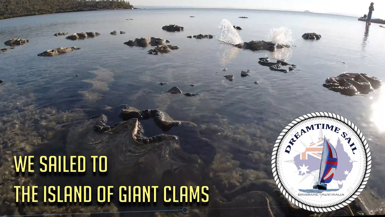 A Coral Garden of Giant Clams - Orpheus Island - Episode 22