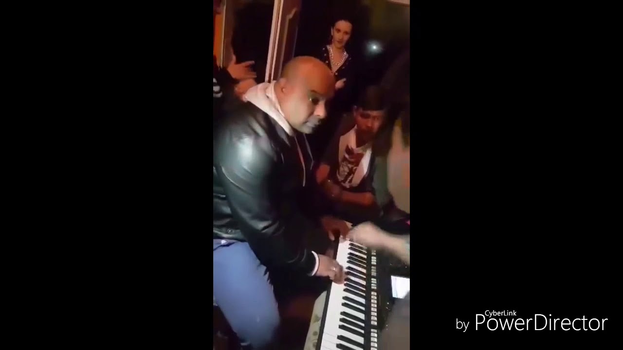 CHOTA A TOCAR PIANO EM PARODIA RUMBA PORTUGUESA 2018