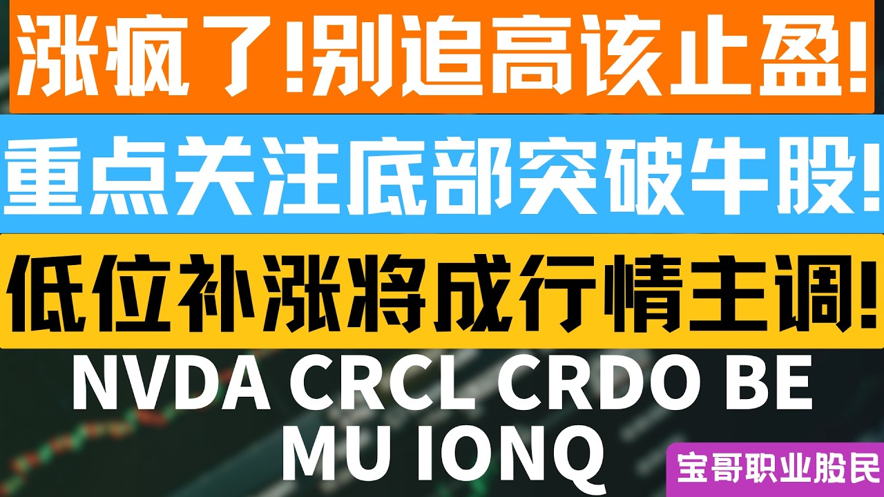 涨疯了!别追高该止盈! 重点关注底部突破牛股! 低位补涨将成行情主调! NVDA CRCL CRDO BEMU IONQ！04142026 #美股 #股票 #美股分析 #投資