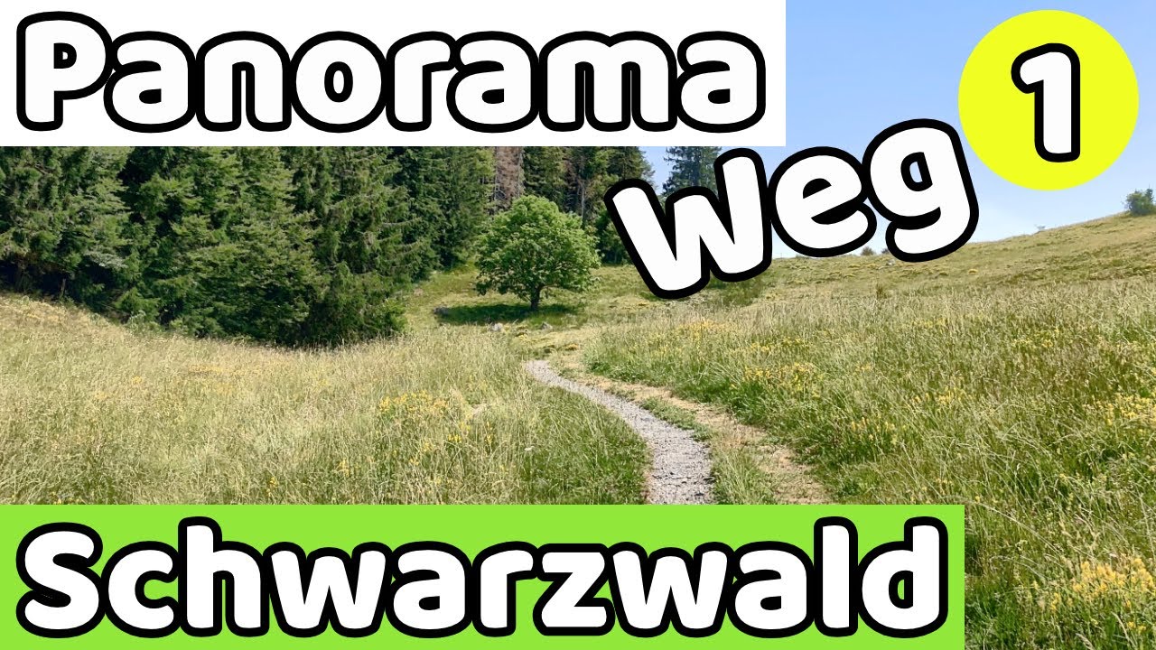 Ibacher Panoramaweg #1 | Wandern im Schwarzwald |  Schwarzwald Panorama | Ibacher Moos