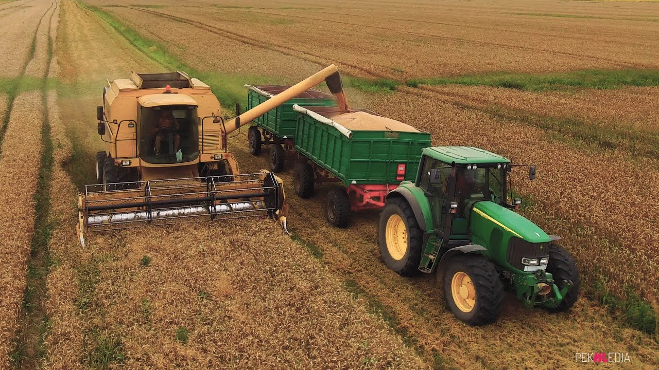 Harvest 2019 Tormac, Romania,