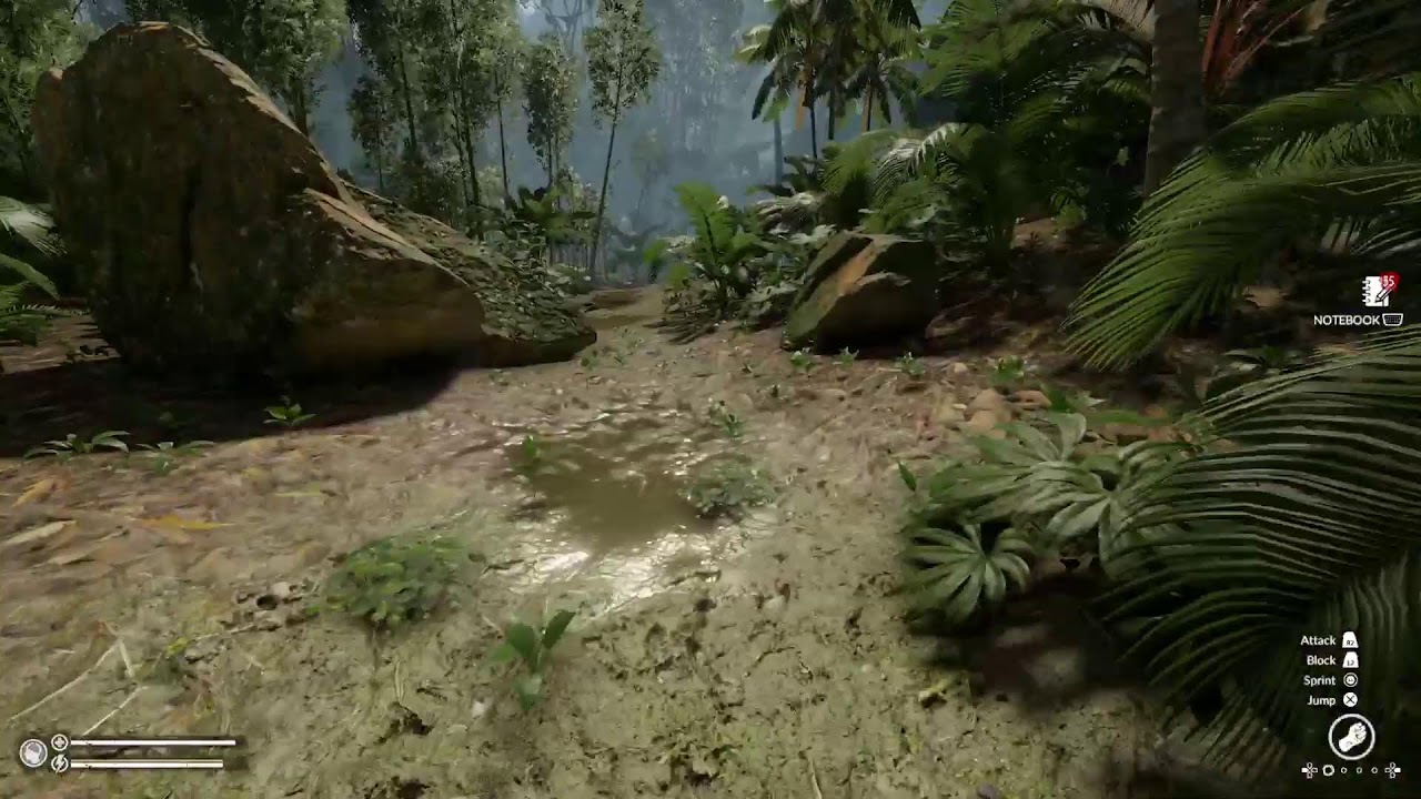The Green Hell survival