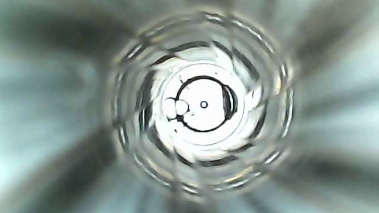 Cheap Rifle Borescope Endoscope