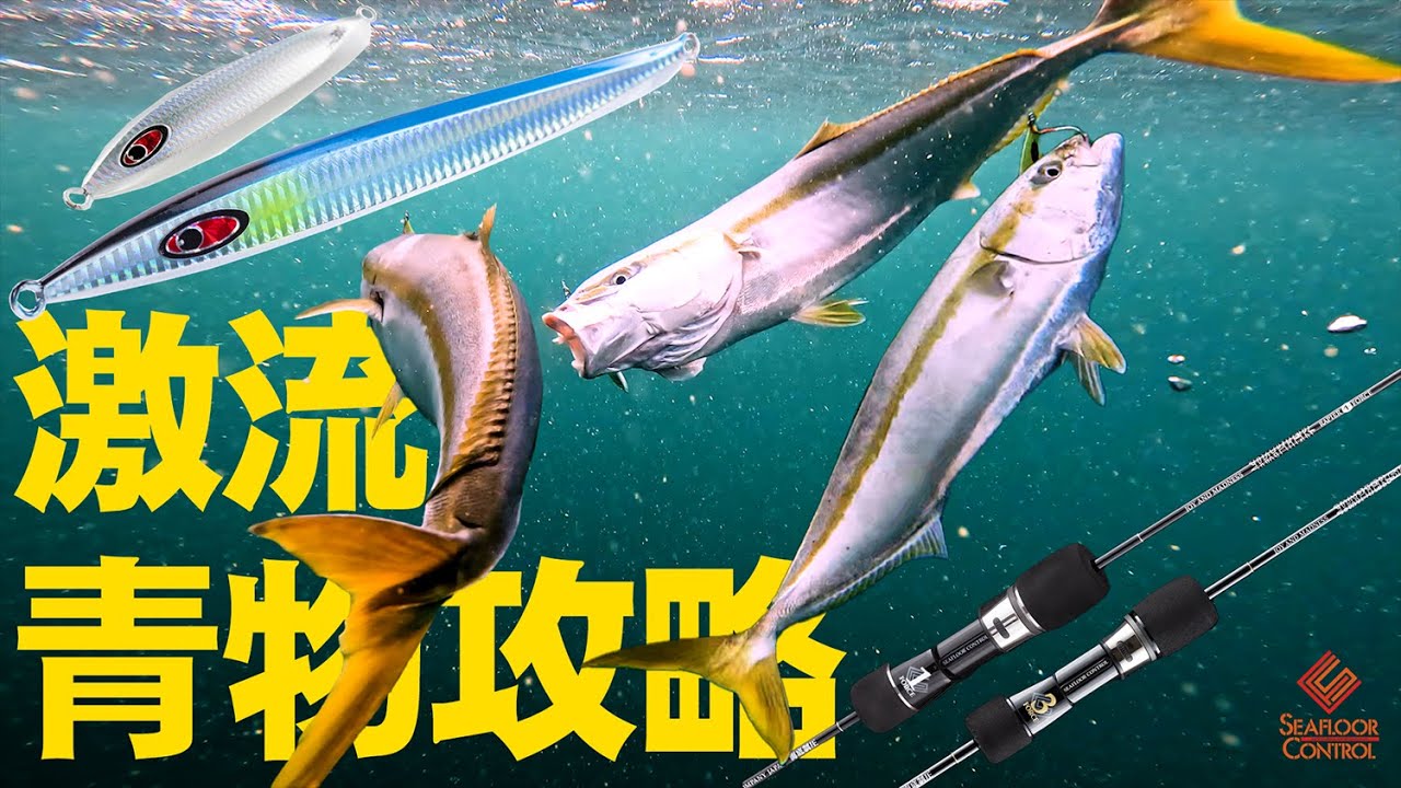 [Канал Сетоучи Кудако] Техника ловли луфаря на джиговую снасть на порогах