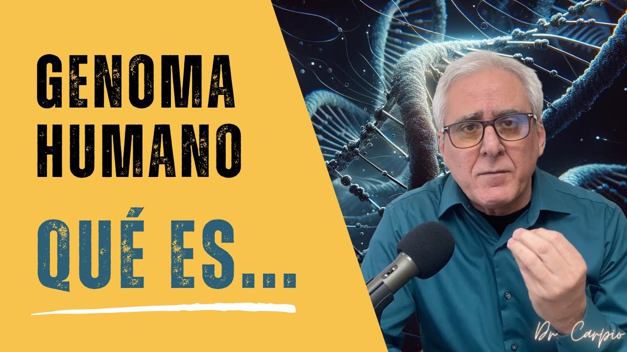 ¿Qué es la Información Genética? Un Viaje al Corazón del Genoma Humano