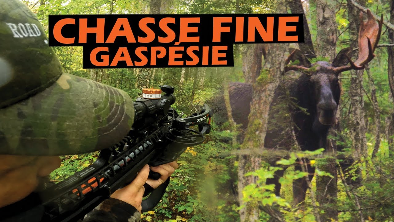 Chasse fine en Gaspésie - Roadhunt Saison 4 - Épisode 2