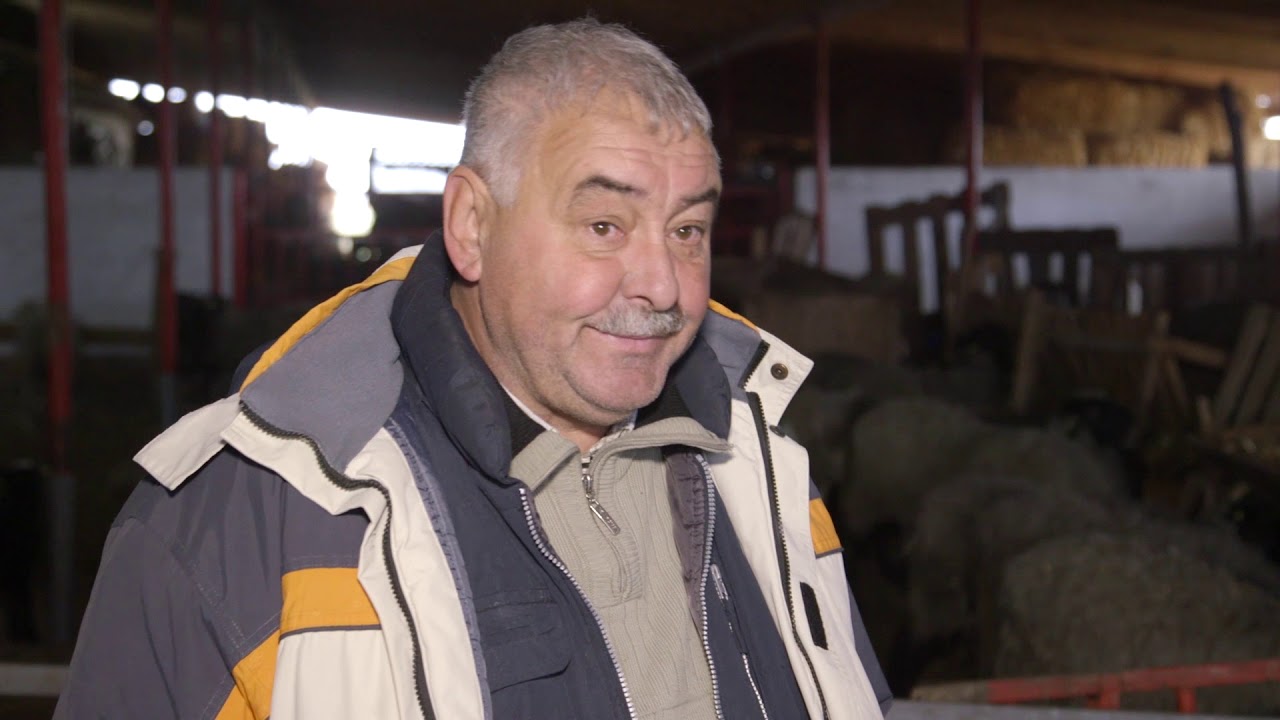Ovčarstvo ep. 11 04.12.2018. - poboljšanje mesnatosti romanovske ovce