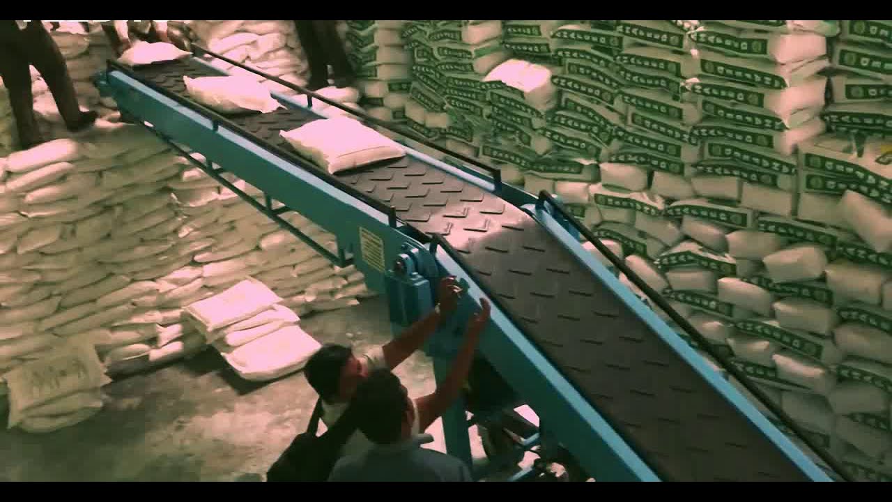 Automatic Truck Loading Unloading Belt Conveyor Machine System for Bag & Boxes