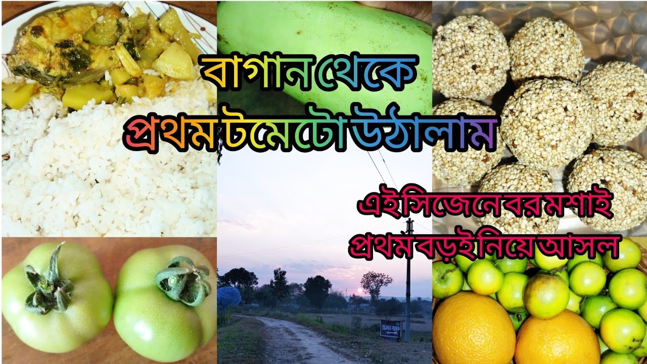 ঘুম থেকে দেরিতে উঠেও যেভাবে এক ঘন্টার মধ্যে রান্নাবান্না করে নিলাম/আজ প্রথম বাগান থেকে টমেটো উঠালাম।