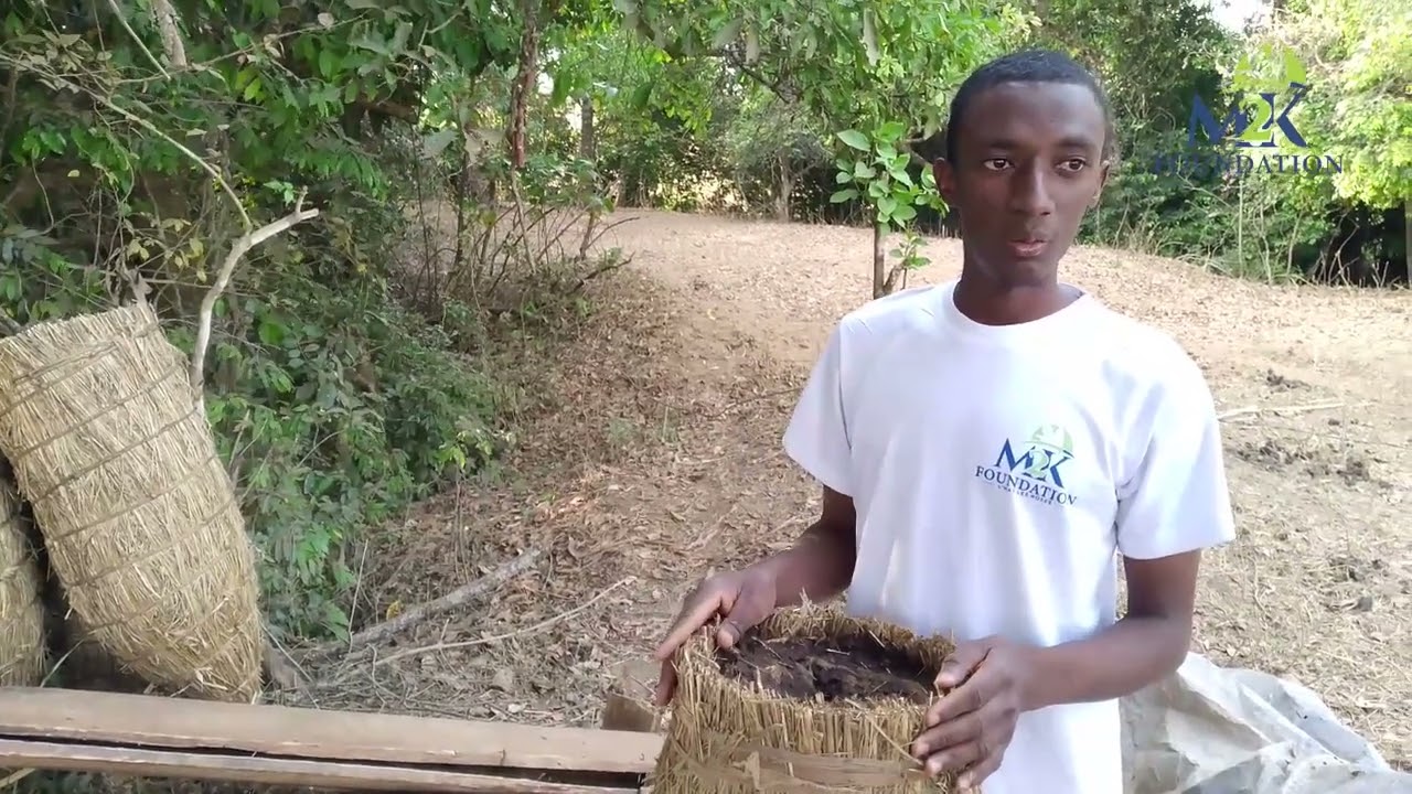 L'Art de l'Apiculture : Guide Pratique avec Mohammadou Bassrani