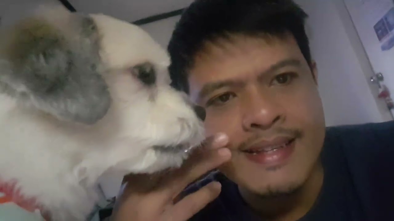 KINAGAT AKO KAYA NAG SOSORRY SA AKIN SI POTPOT KO.
