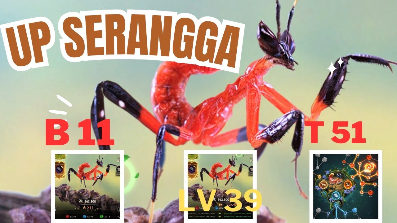 MENAIKKAN (BINTANG SERANGGA, LEVEL SERANGGA, DAN TALENT SERANGGA) THE ANTS UNDERGROUND KINGDOM