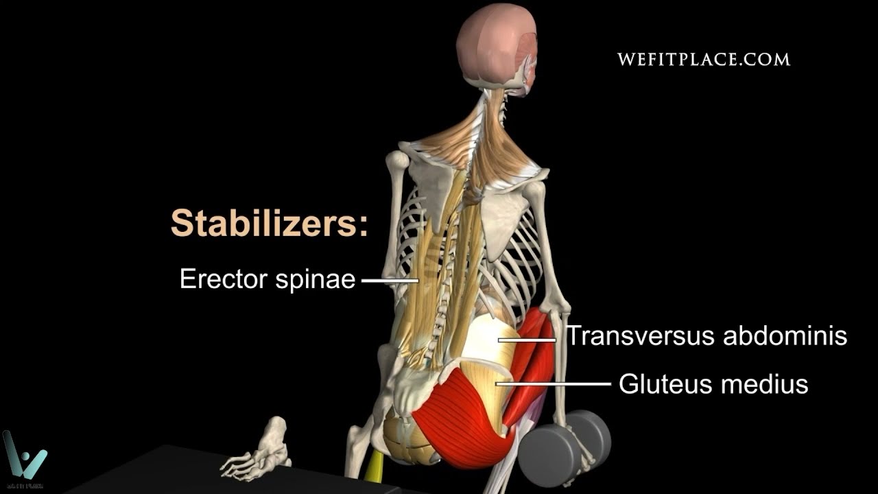 ANÁLISIS BIOMECÁNICO EN 1 MINUTO - SENTADILLA BÚLGARA - Pierna - Fitness - Aprendiendo gym