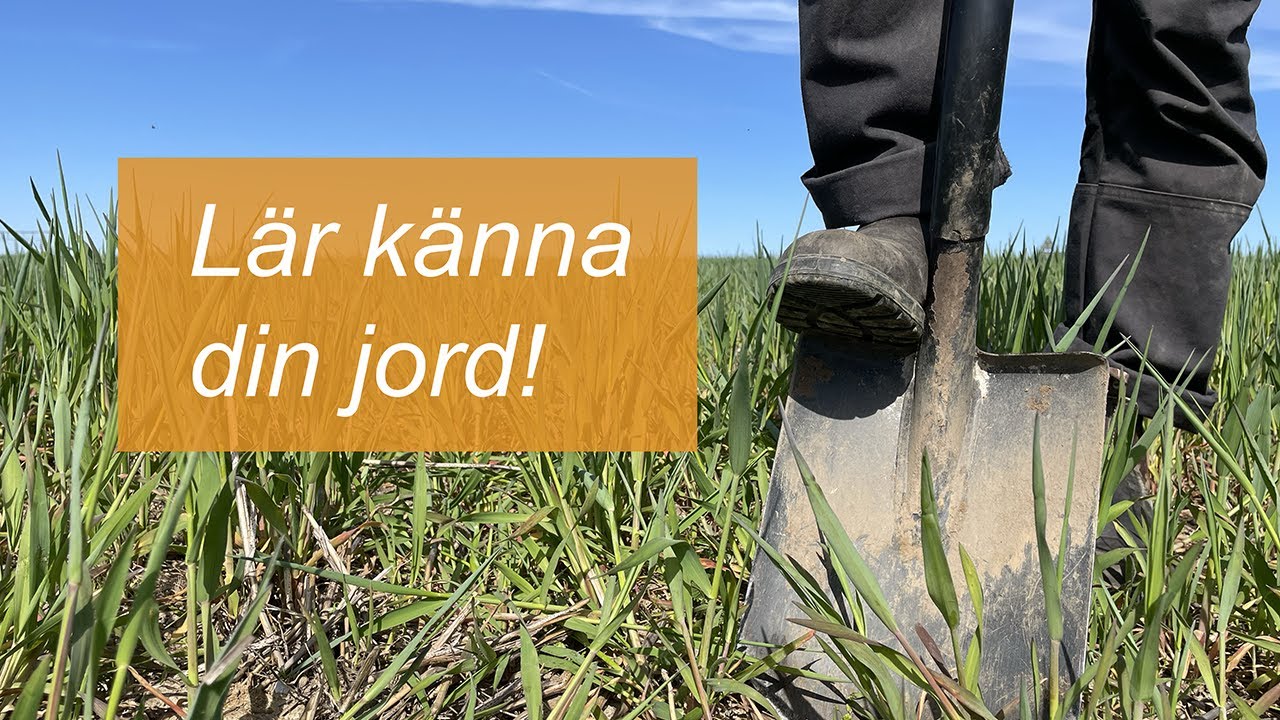 Lär känna din jord! Gör markstrukturtest i fält.