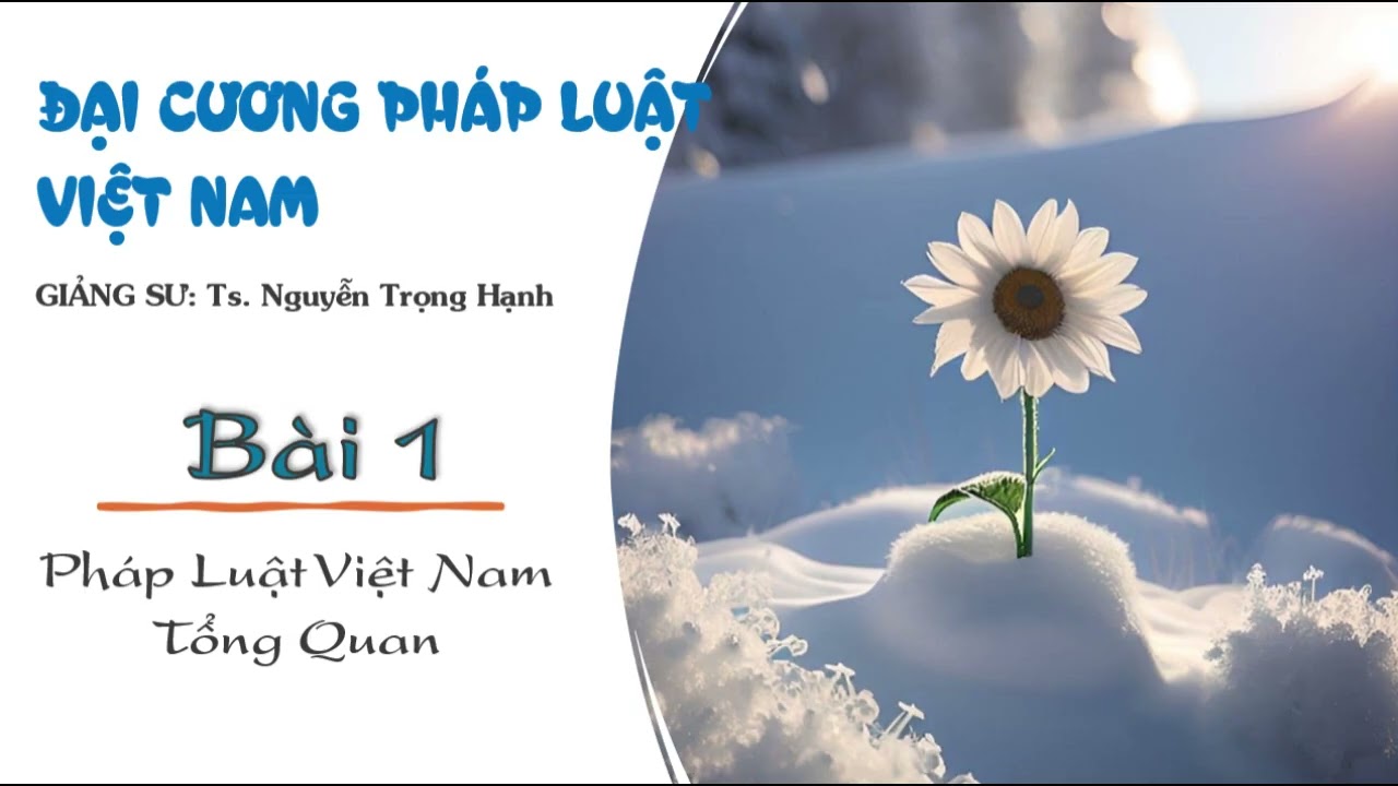 Đại Cương Pháp Luật Việt Nam - Bài 1: Pháp Luật Việt Nam Tổng Quan