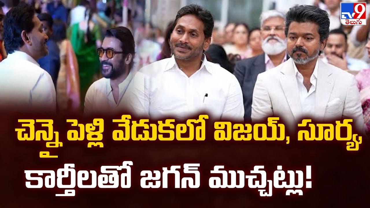 చెన్నై పెళ్లి వేడుకలో విజయ్, సూర్య, కార్తీలతో జగన్ ముచ్చట్లు! | YS Jagan Mohan Reddy - TV9