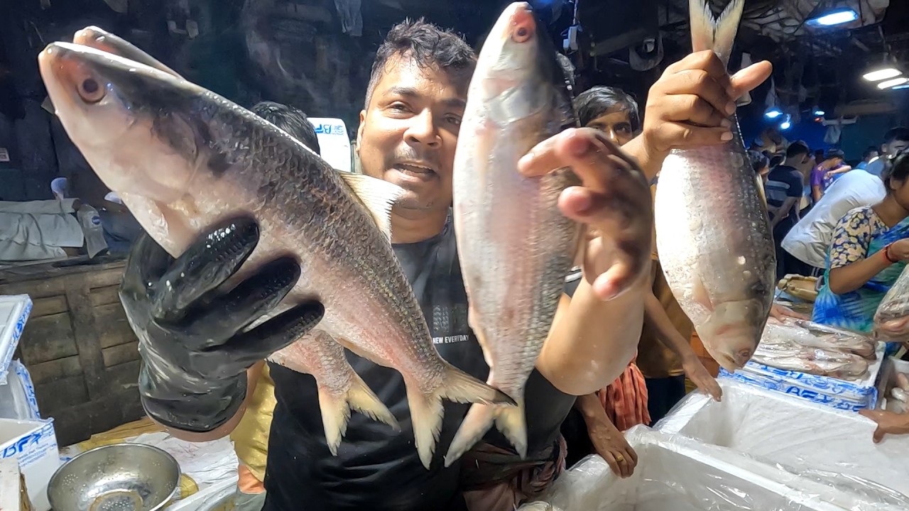 শিয়ালদহ চোর বাজার পাইকারি মাছের বাজার | ইলিশ পাবদা চিংড়ির দাম আগস্ট ২০২৫ | Hilsa Price Kolkata