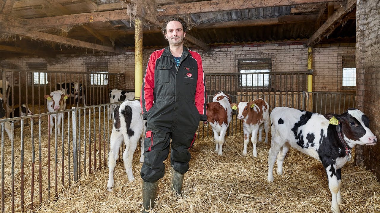 Lely Calm - Automatic calf feeding - Roy Pelgrim - EN
