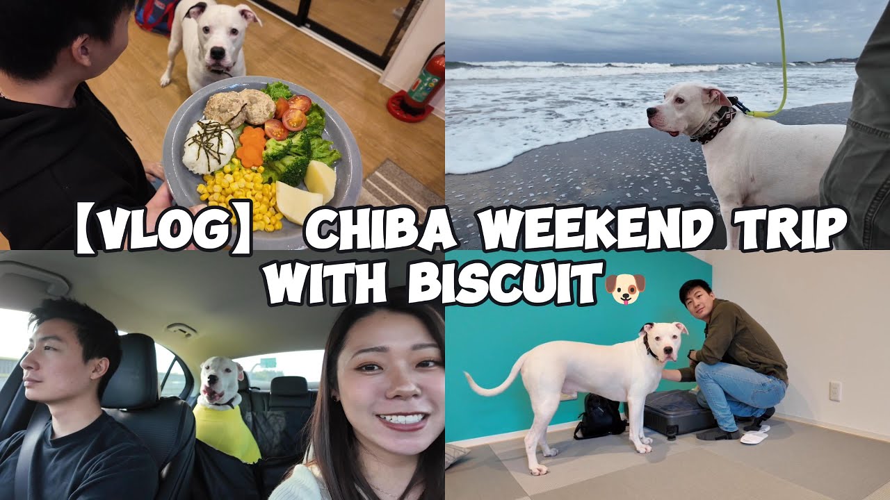【vlog】千葉週末旅行に行ってきた！🫶🐶
