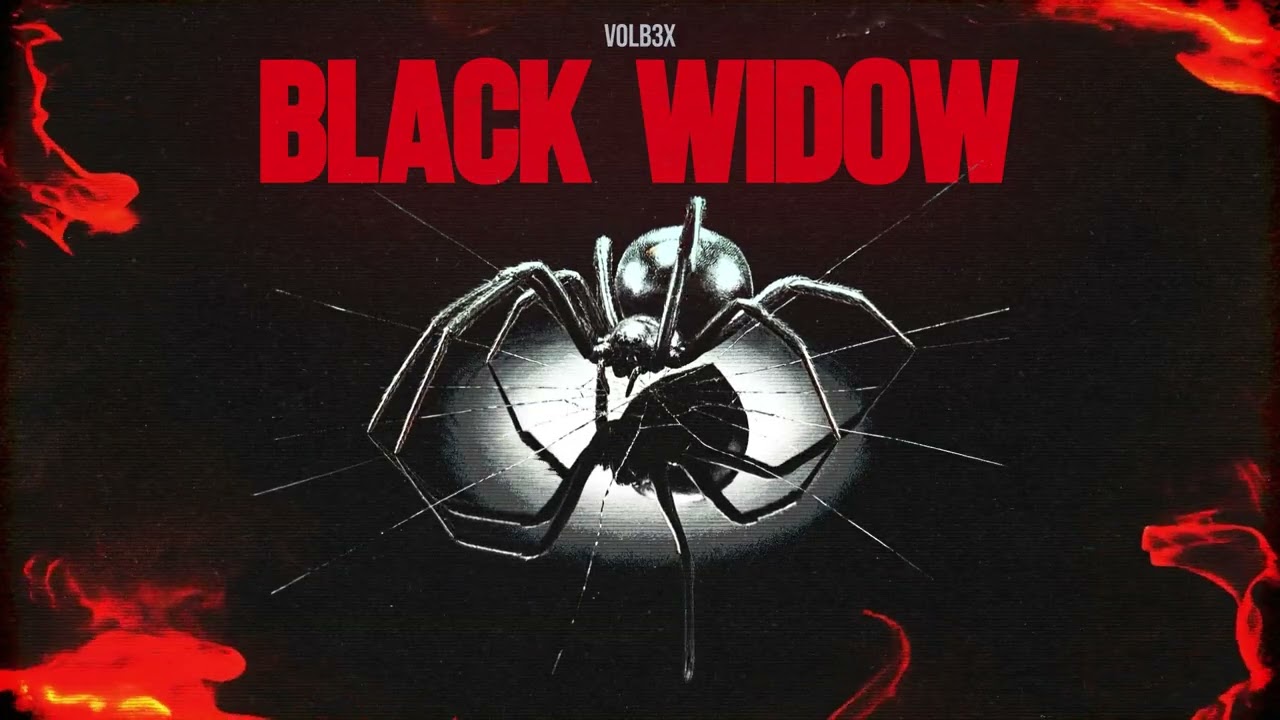 VOLB3X - Black Widow (Official Canvas Video)