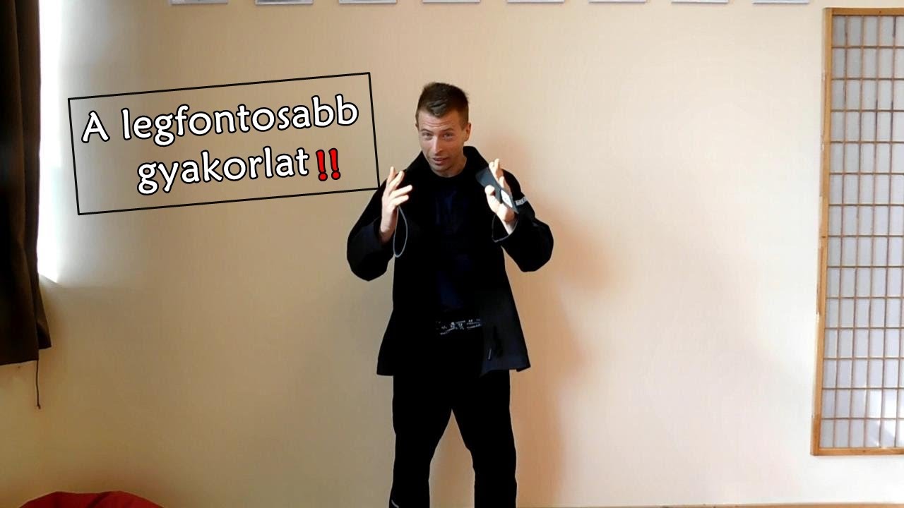 A legfontosabb gyakorlat, amit minden harcművésznek tudnia kell!!🥋