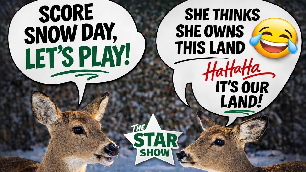 THIS LAND AIN’T YOUR LAND, THIS LAND IS OUR LAND!🤣 DEER SNOW DAY FUN! #deer #wildlife #deerfun #snow
