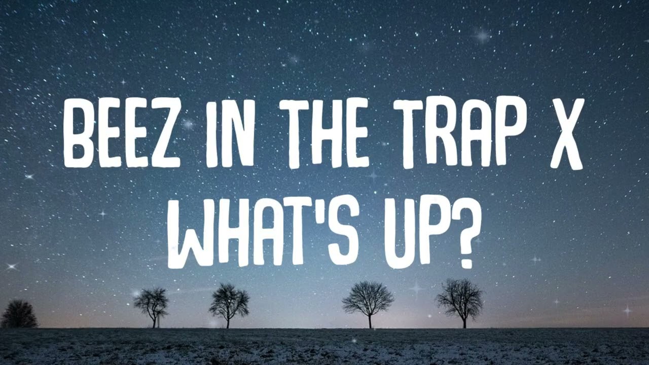 Nicki Minaj, 4 Non Blondes - Beez In The Trap X What&rsquo;s Up? [Lyrics]