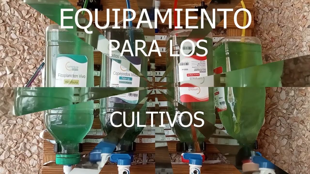 Fitoplacton y Zooplacton